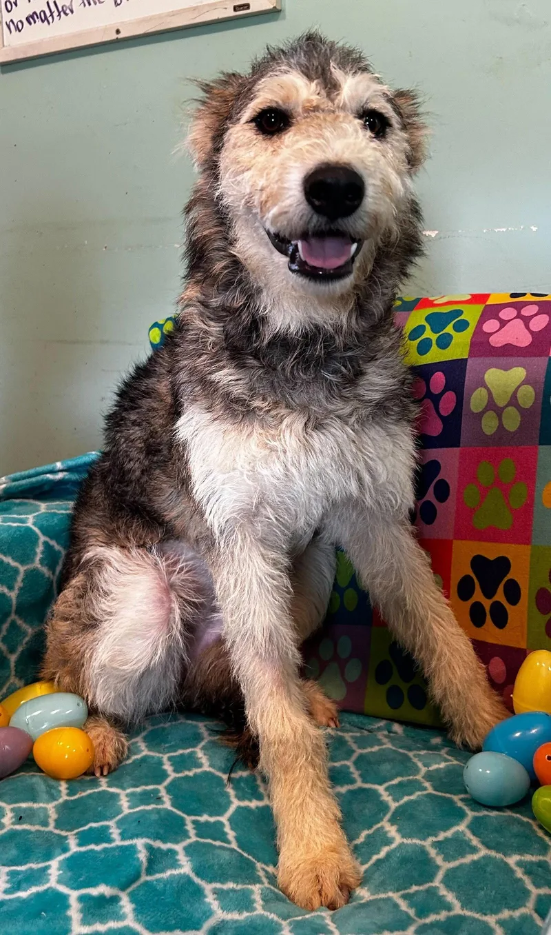 Kera Mar thumbnail 3