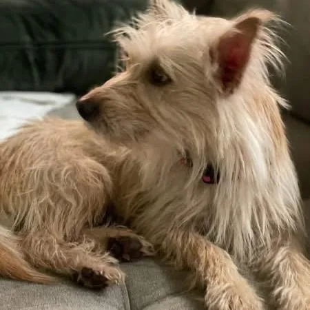 Esperanza Aka Essie thumbnail 2