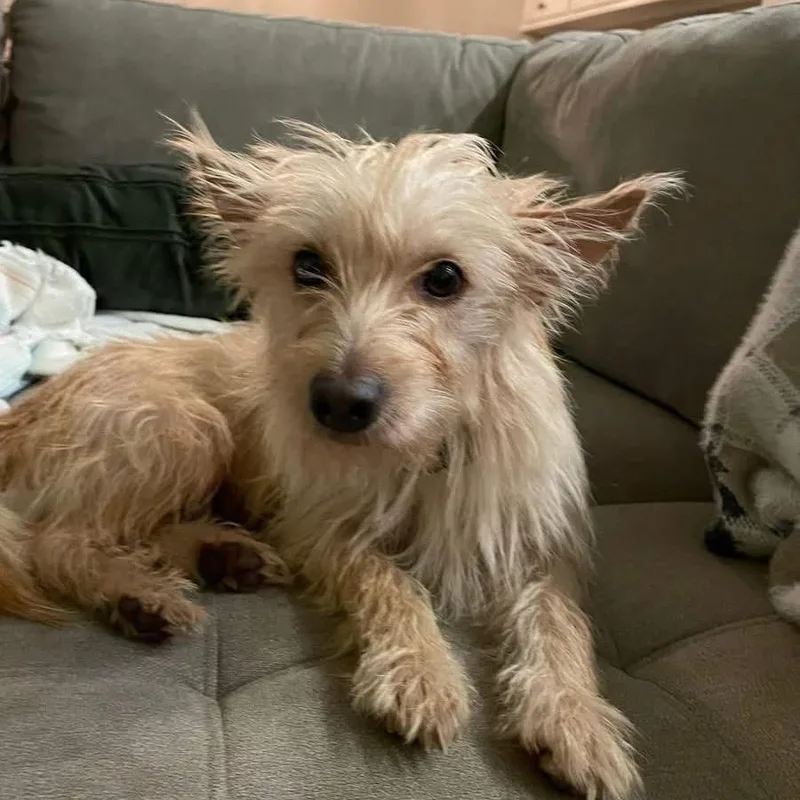 Esperanza Aka Essie thumbnail 3