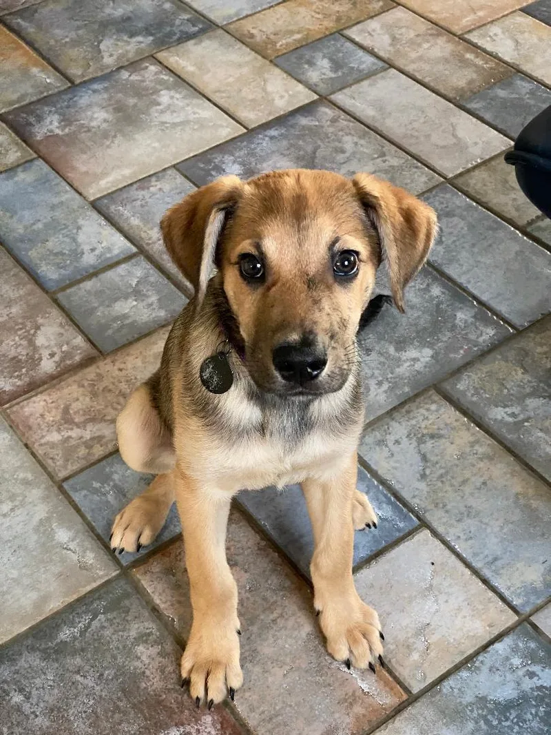 Max Aka Grumpy thumbnail 2