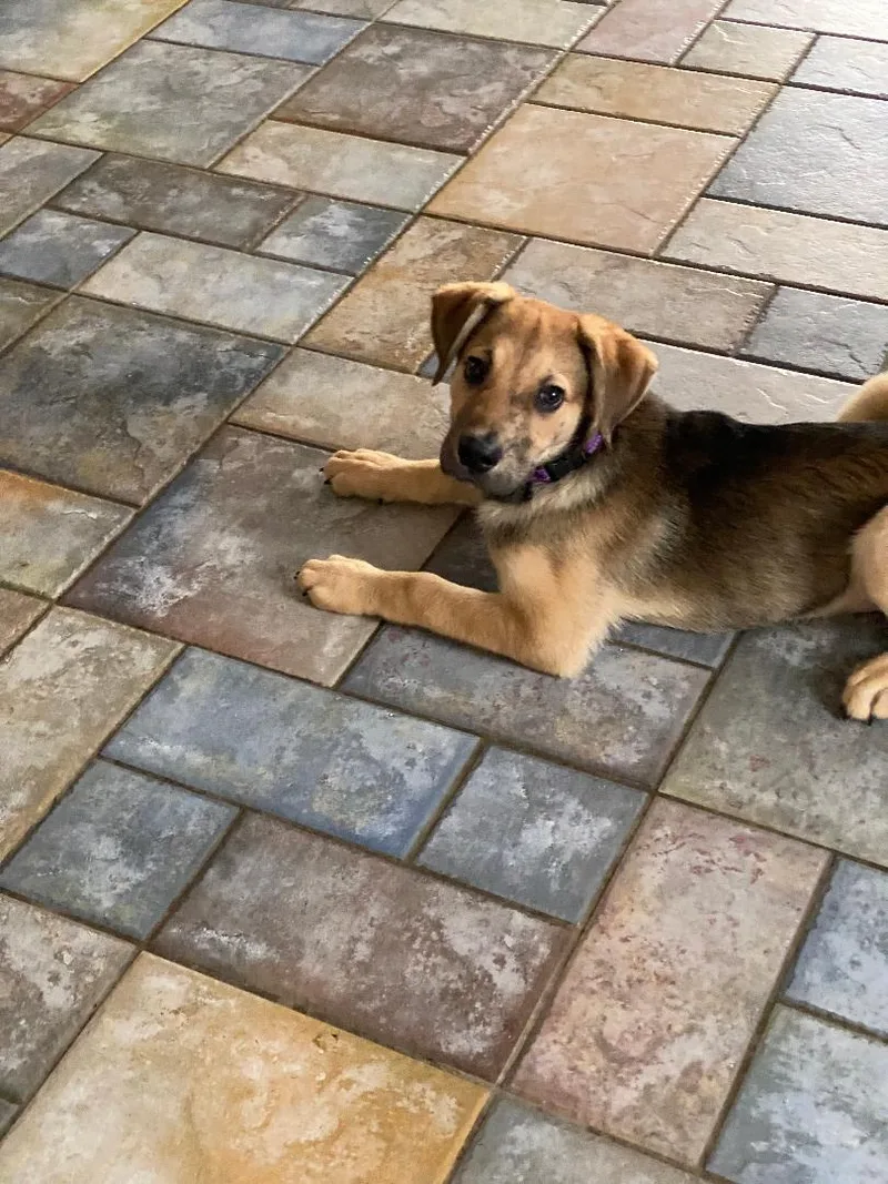 Max Aka Grumpy thumbnail 3