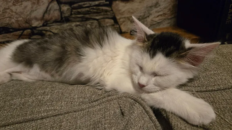 Evelyn thumbnail 3