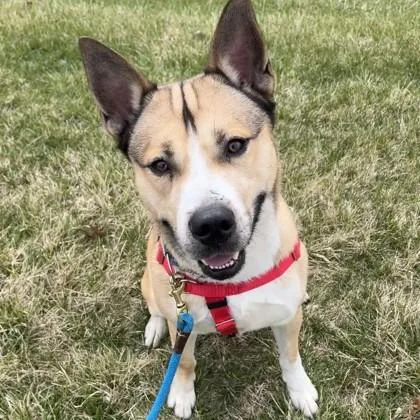 Oh Danny Boy thumbnail 3