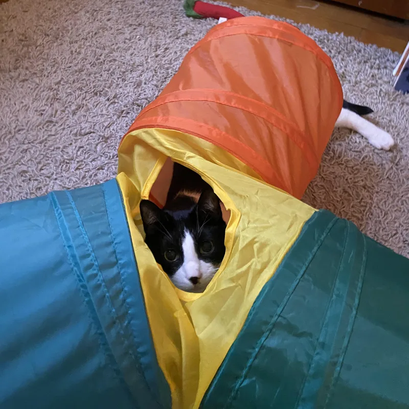 Pandaman thumbnail 2