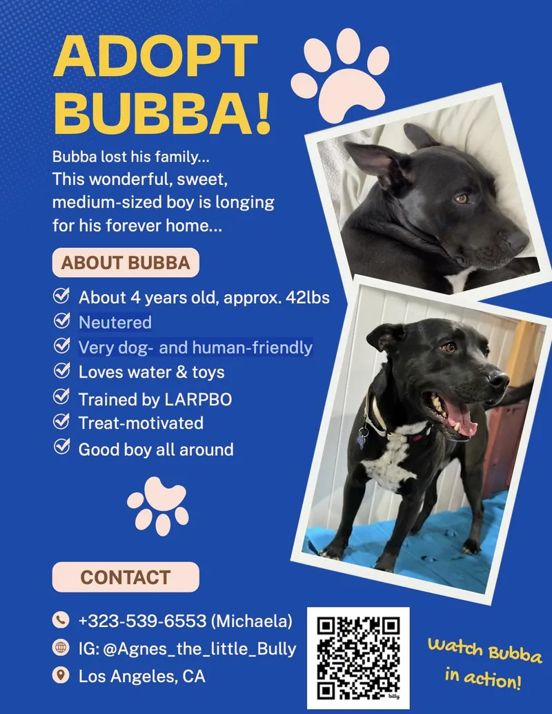 Bubba Best Boy thumbnail 3