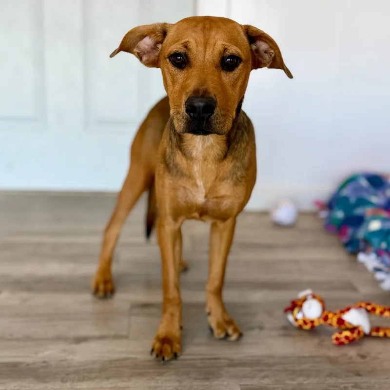Windy thumbnail 3