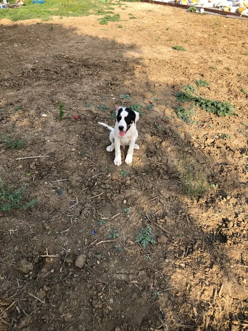 Charlotte thumbnail 3