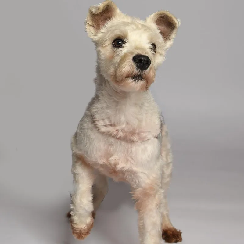 Sammy Wonder thumbnail 2