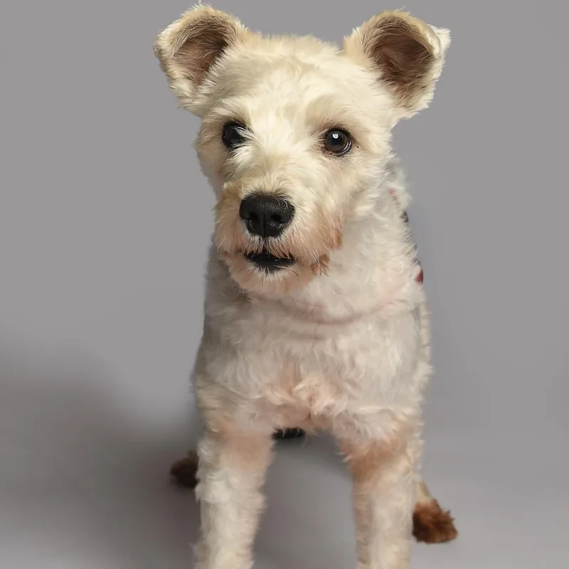 Sammy Wonder thumbnail 3