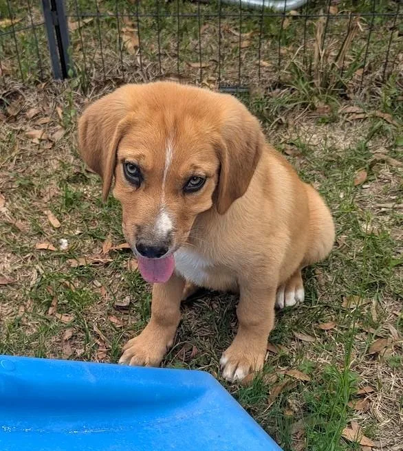 Jem Finch thumbnail 2