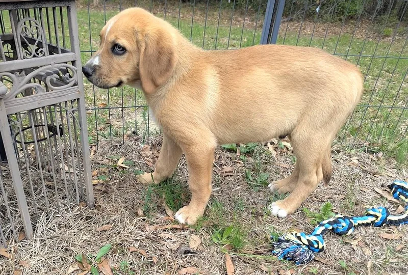 Jem Finch thumbnail 3