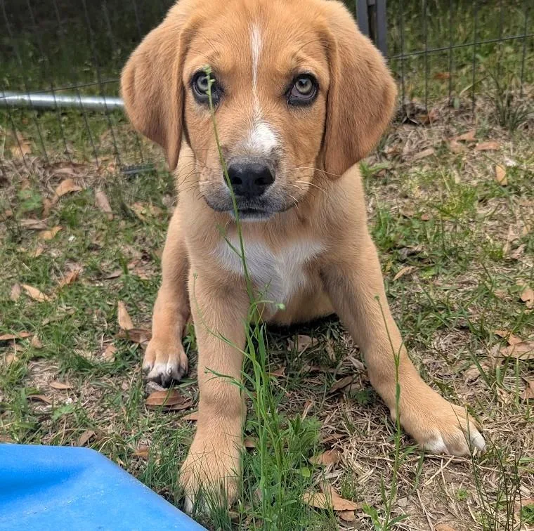 Jem Finch thumbnail 4