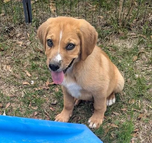 Jem Finch thumbnail 5