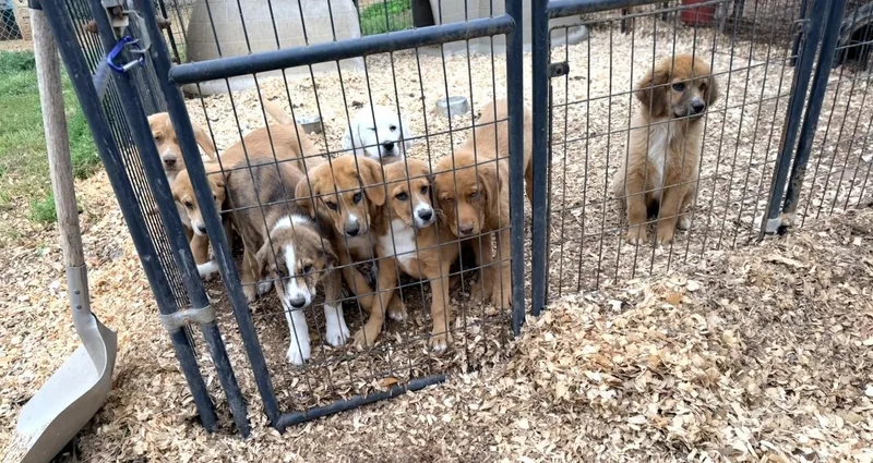 Jem Finch thumbnail 6