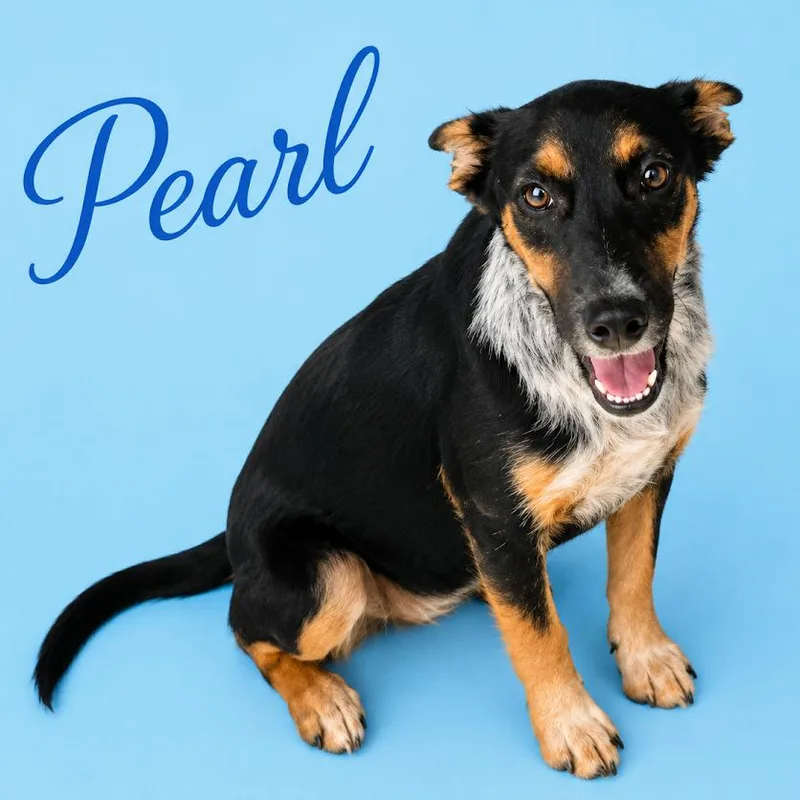 Pearl