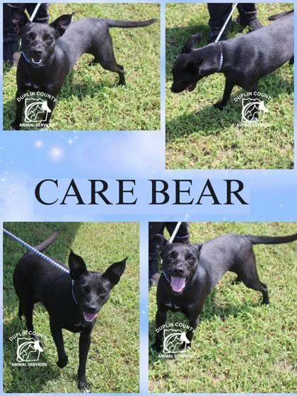 Care Bear thumbnail 3