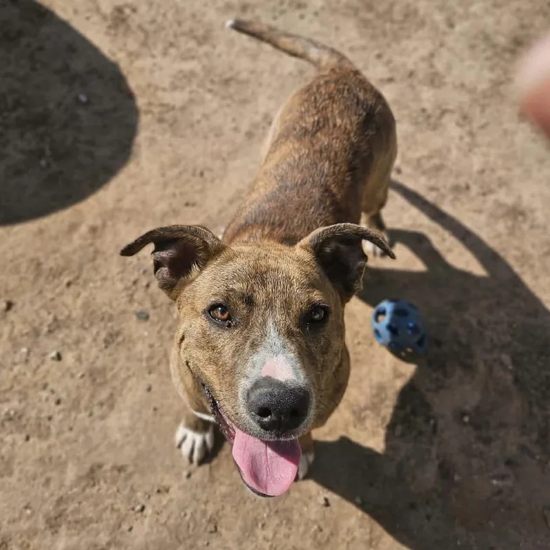 Cinnabon thumbnail 4