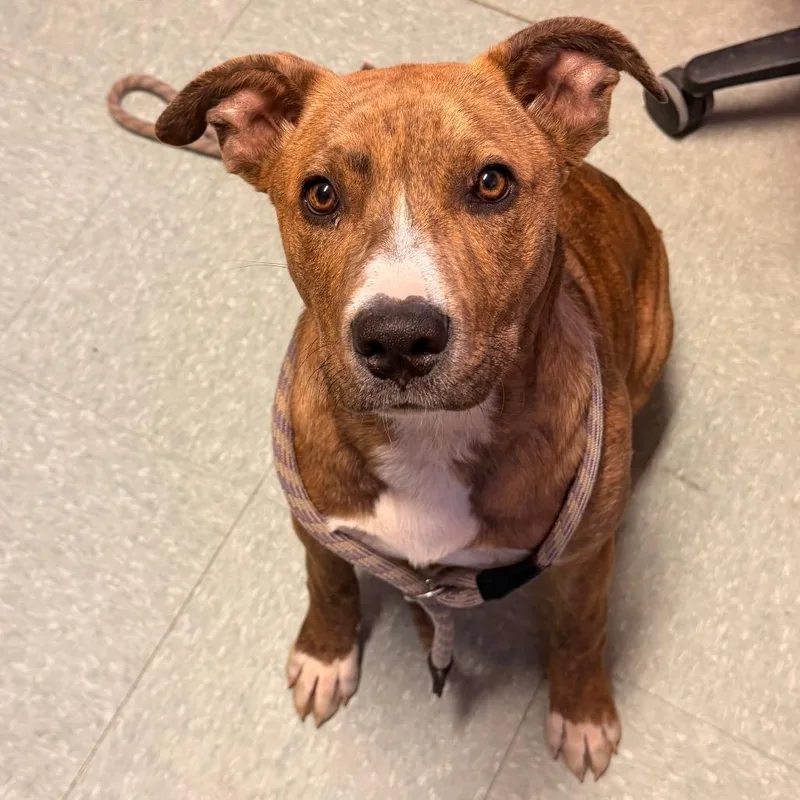 Cinnabon thumbnail 5