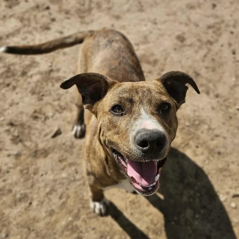 Cinnabon thumbnail 6