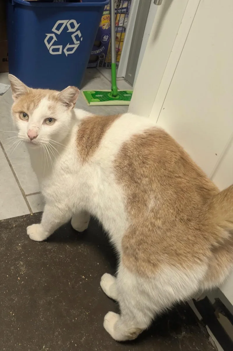 Mr. Keisha thumbnail 2