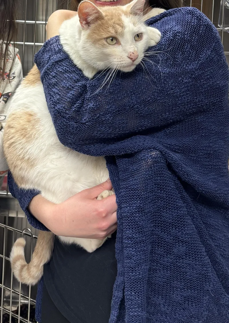 Mr. Keisha thumbnail 3