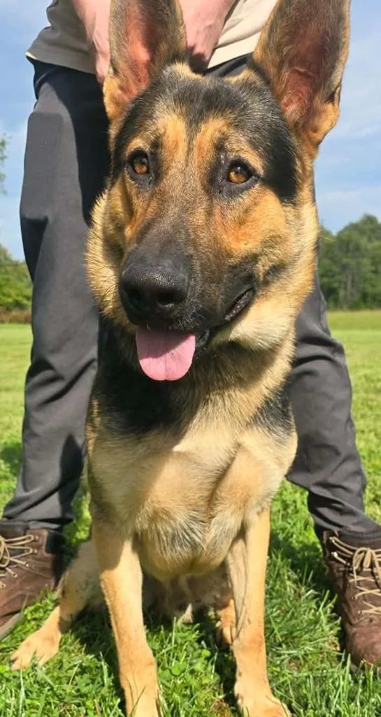 Max