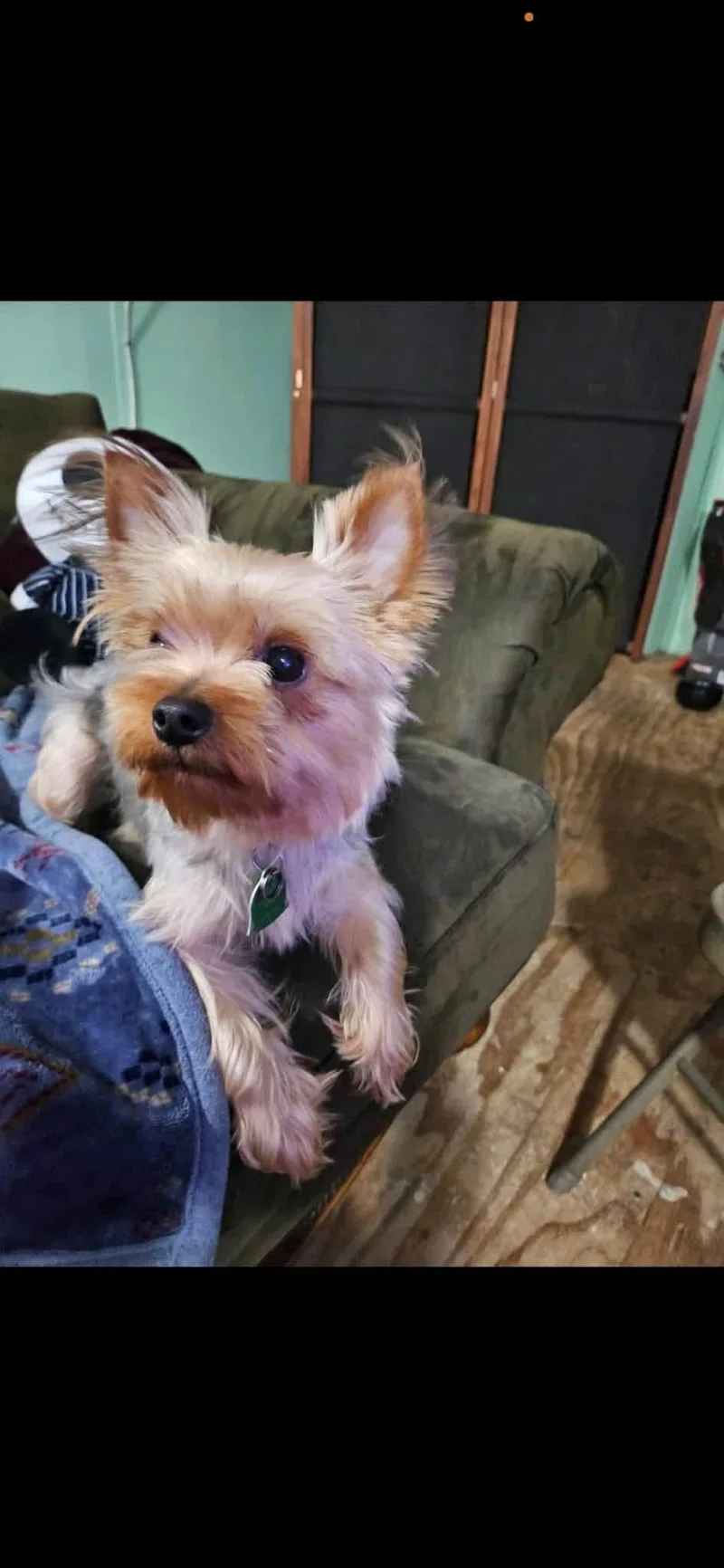 Webster thumbnail 3