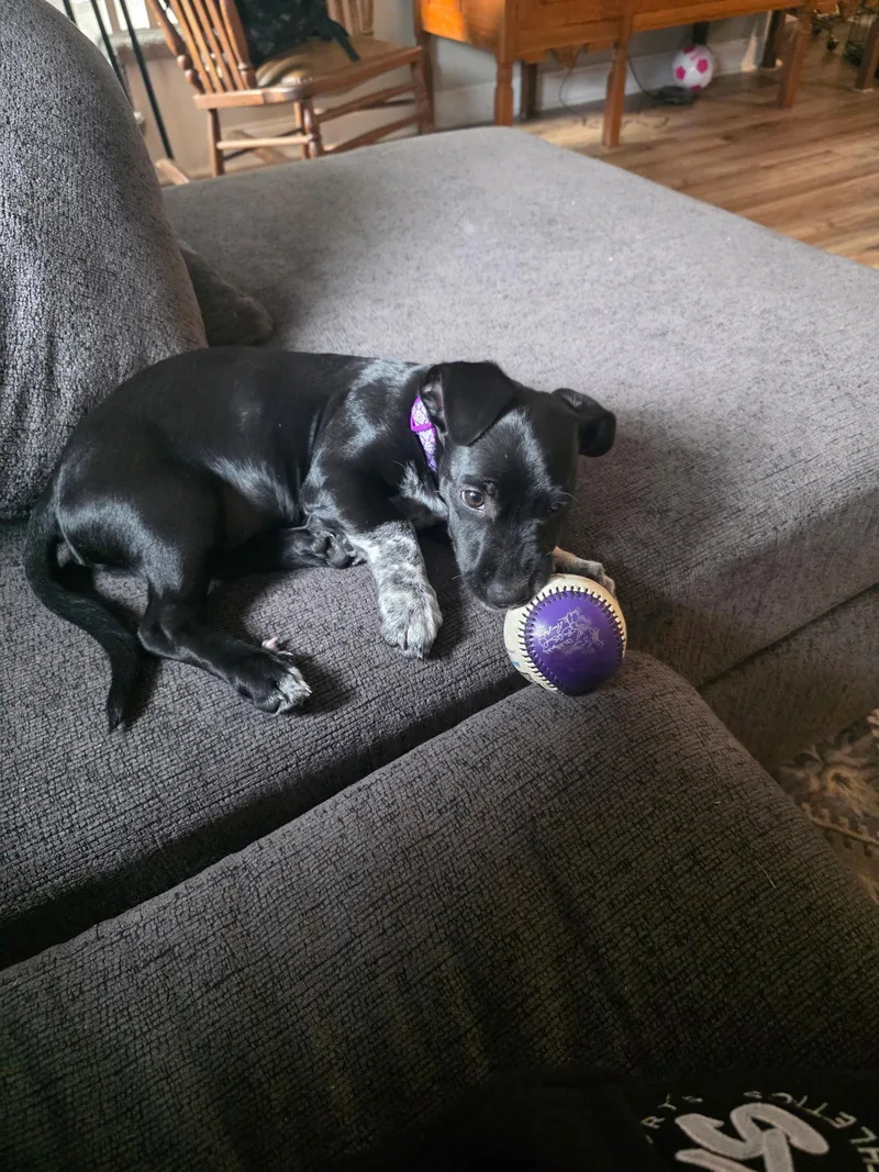 Ingridviolet thumbnail 2