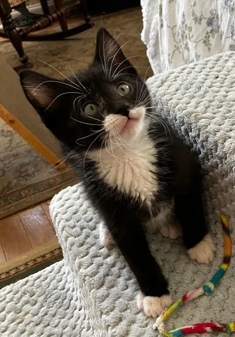 Ernie thumbnail 2