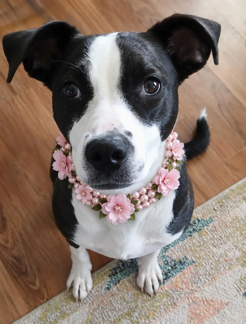 Bailey Rose thumbnail 2