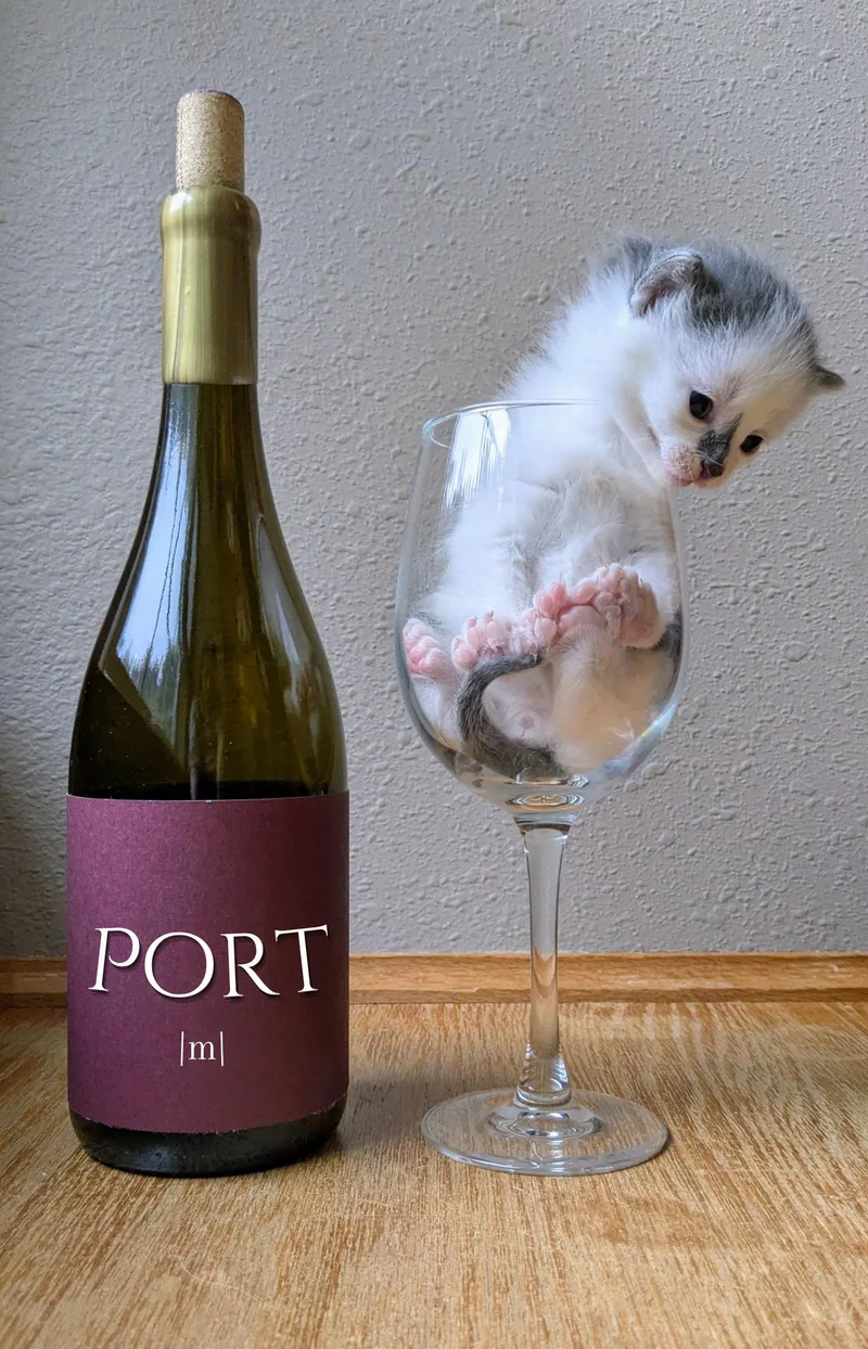 Port thumbnail 4