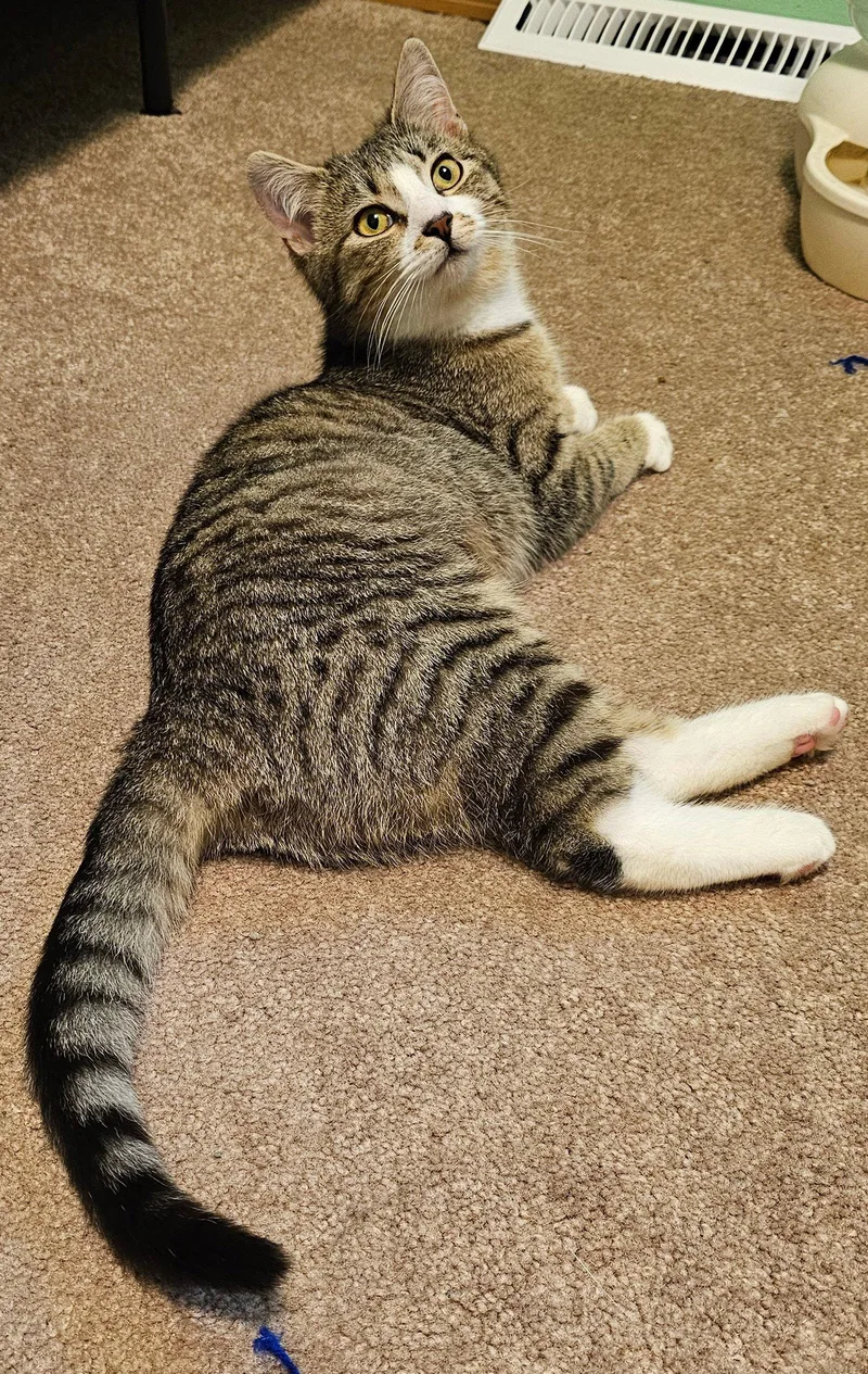 Olivia John Newton thumbnail 2