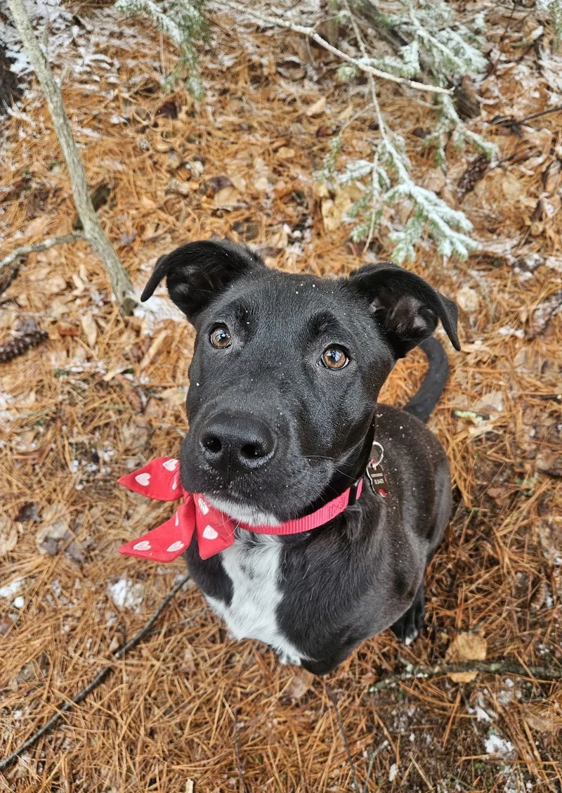 Annabelle Lonestar thumbnail 2