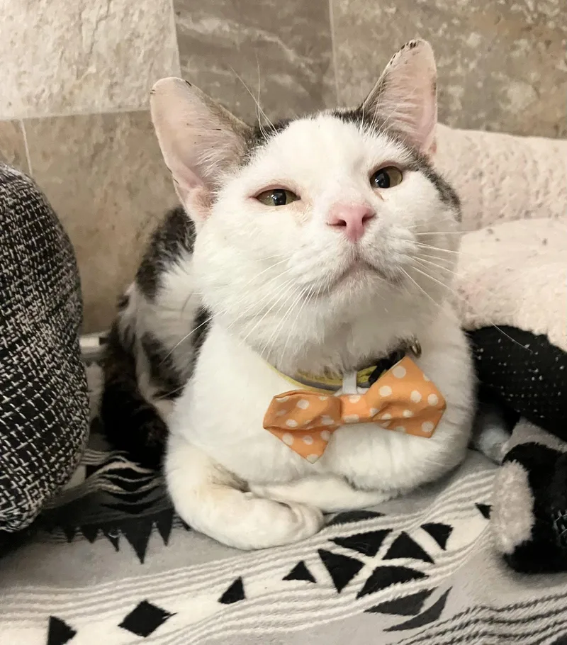 Benny