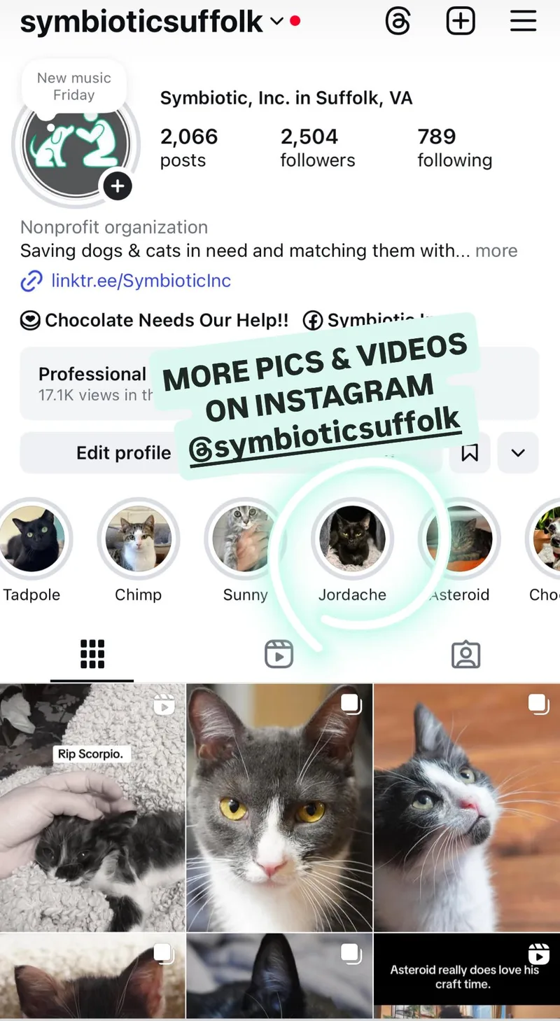 Jordache thumbnail 3