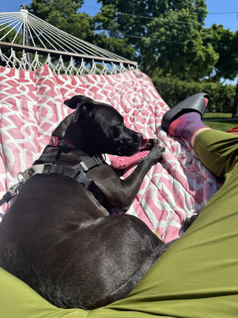 Qu Litter Daffodil thumbnail 3