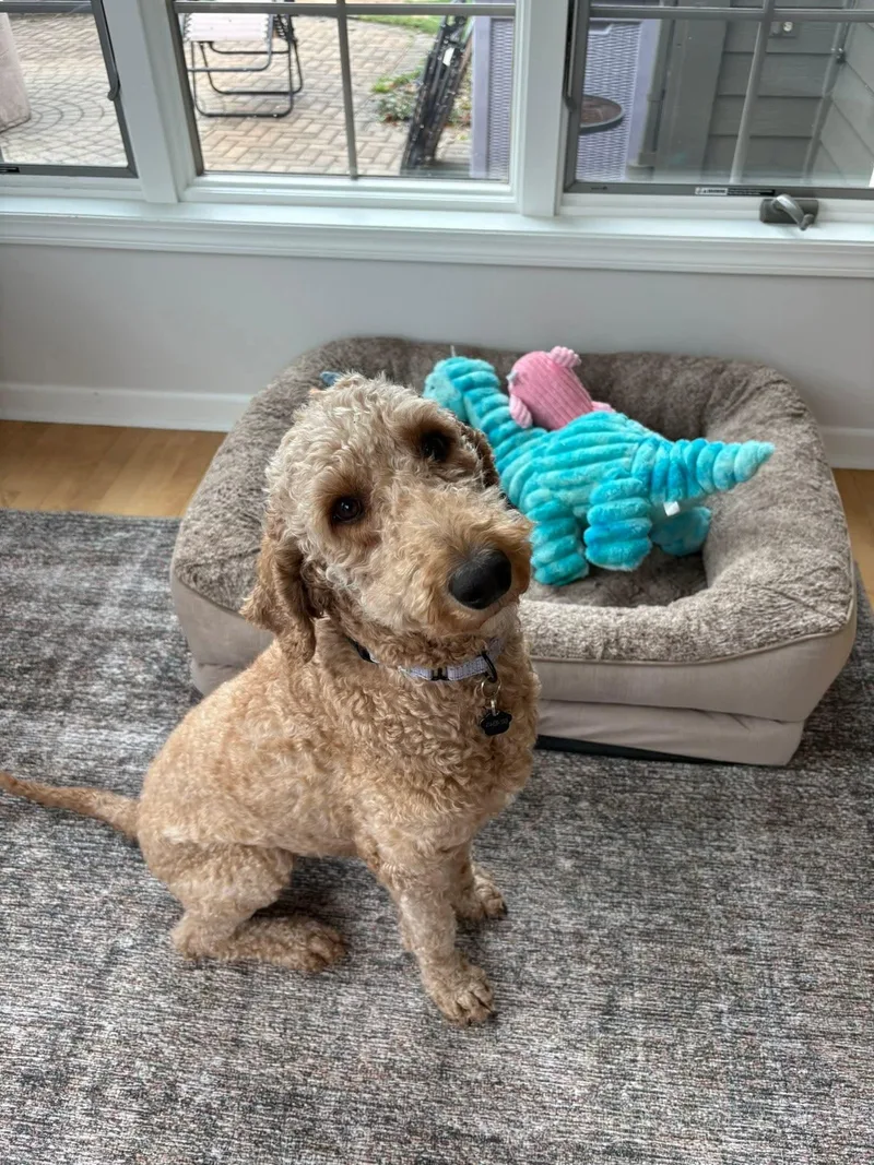 Clara   $ thumbnail 3