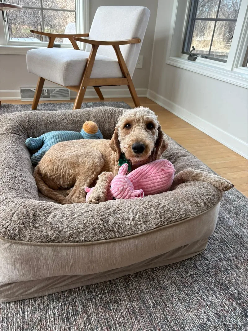 Clara   $ thumbnail 4