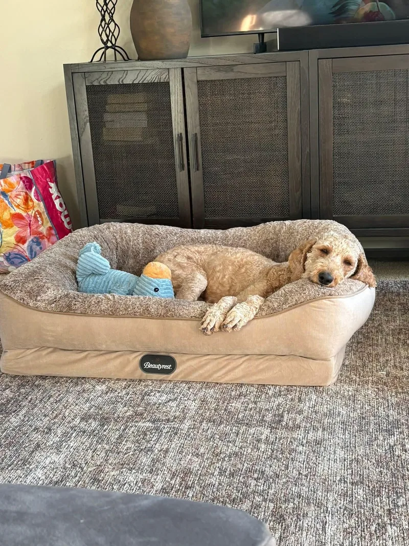 Clara   $ thumbnail 5