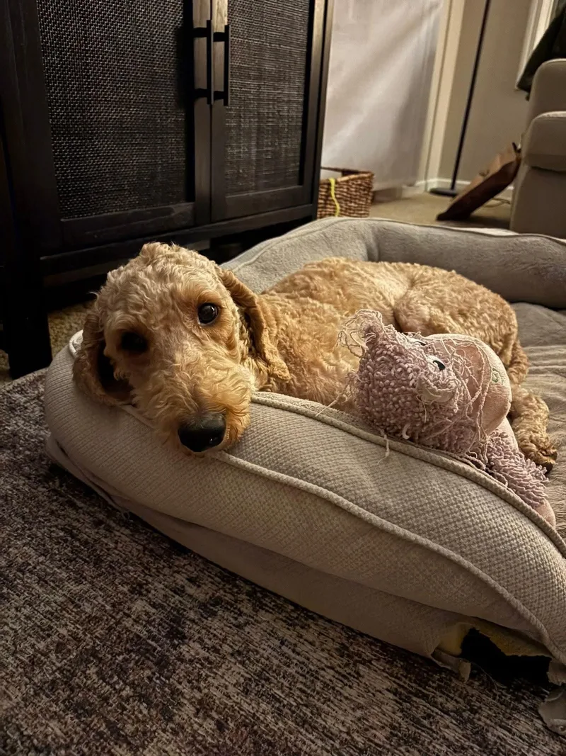 Clara   $ thumbnail 6