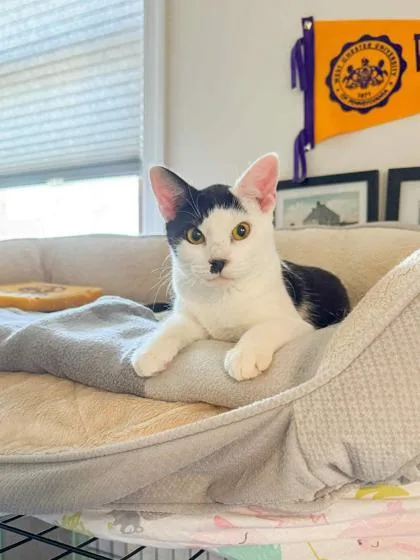 Katarina thumbnail 3