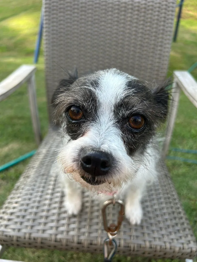 Laverne thumbnail 3