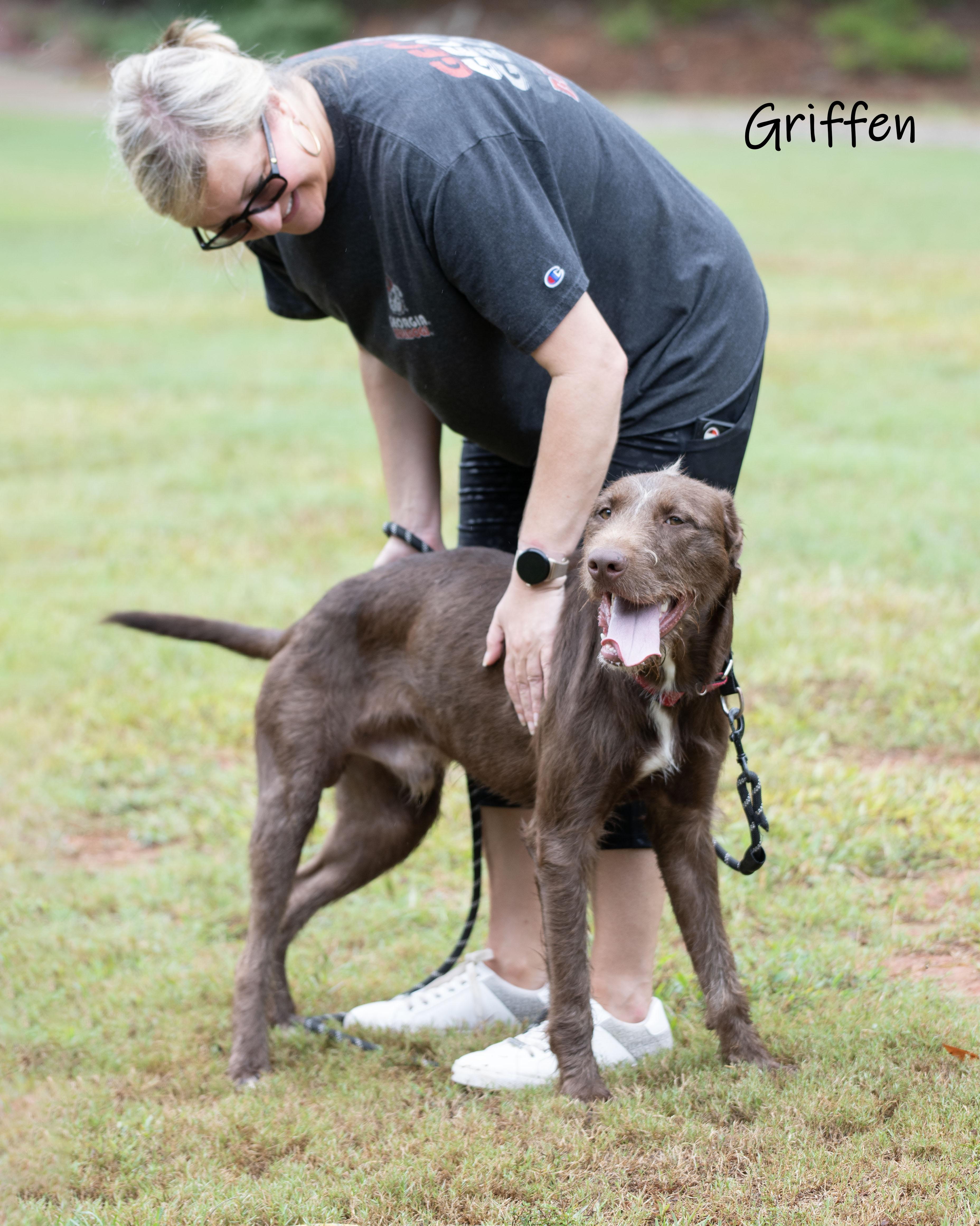 Griffen thumbnail 6