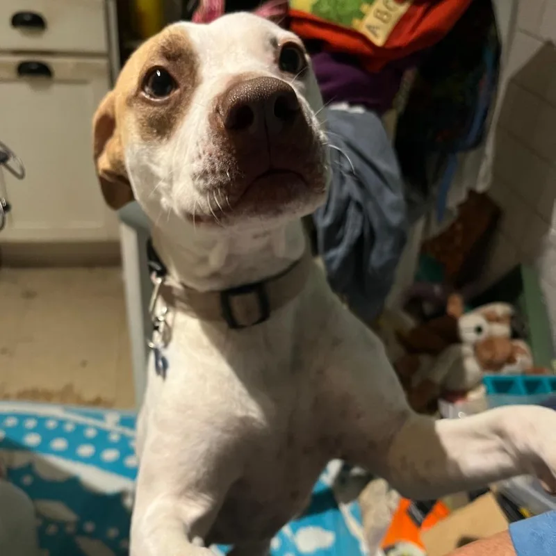 Reading Rainbow thumbnail 2