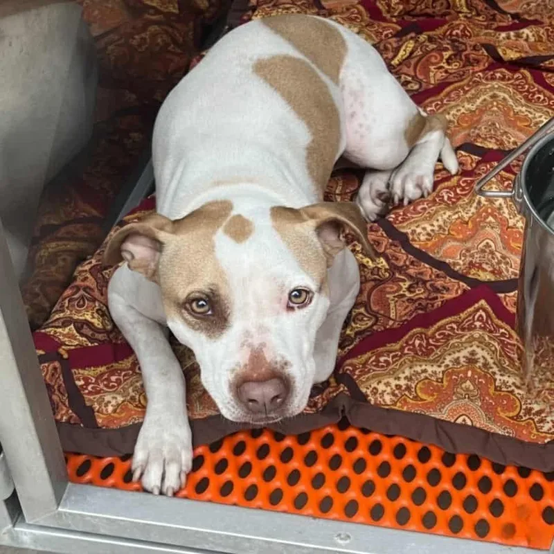 Reading Rainbow thumbnail 3