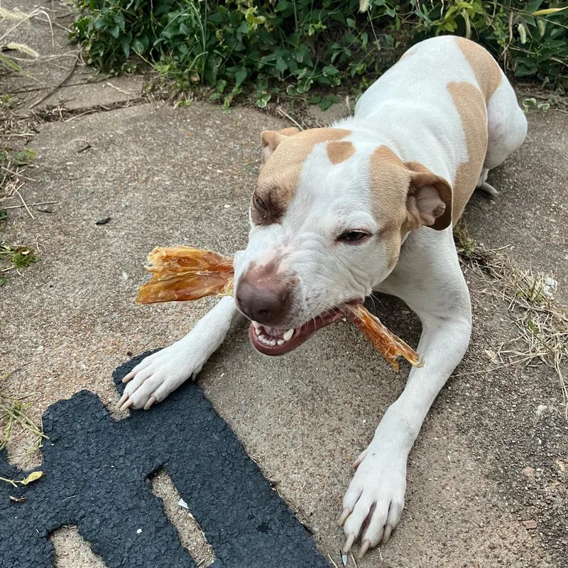 Reading Rainbow thumbnail 4