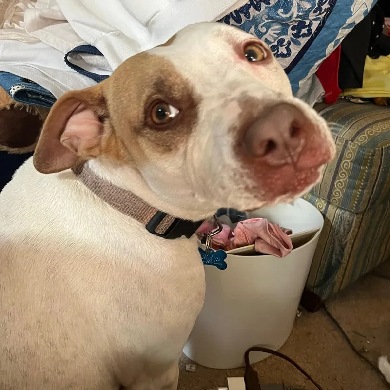 Reading Rainbow thumbnail 5