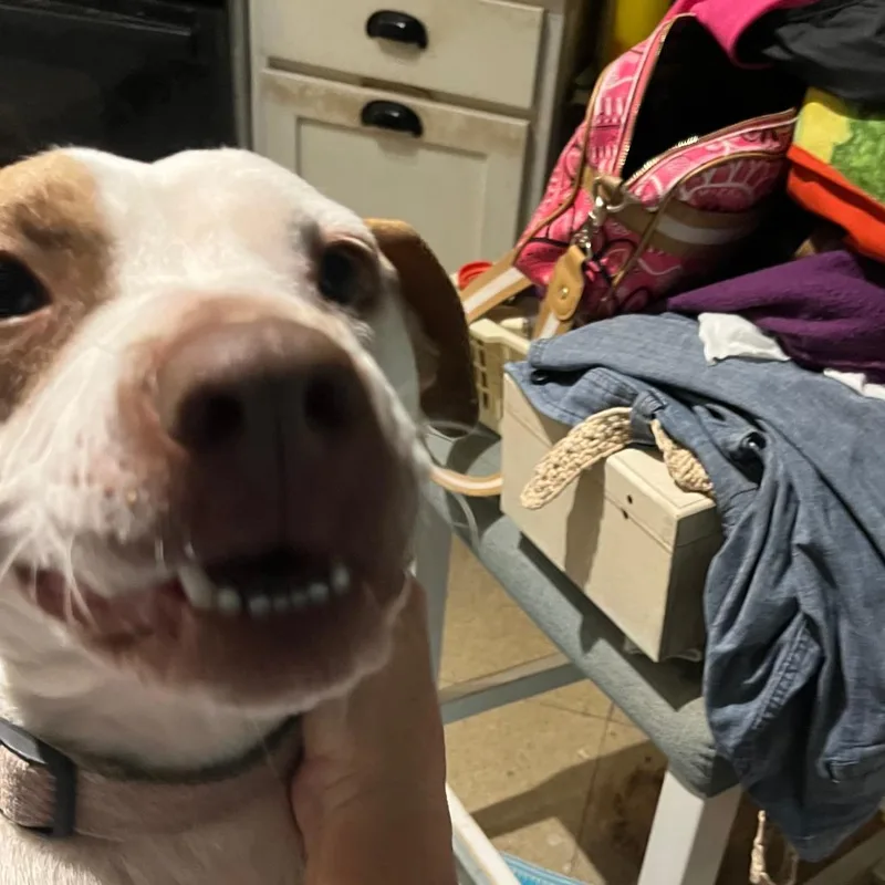 Reading Rainbow thumbnail 6