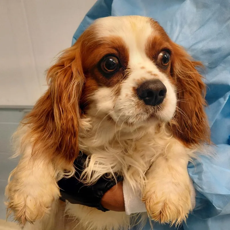 Marchers Jyp thumbnail 2