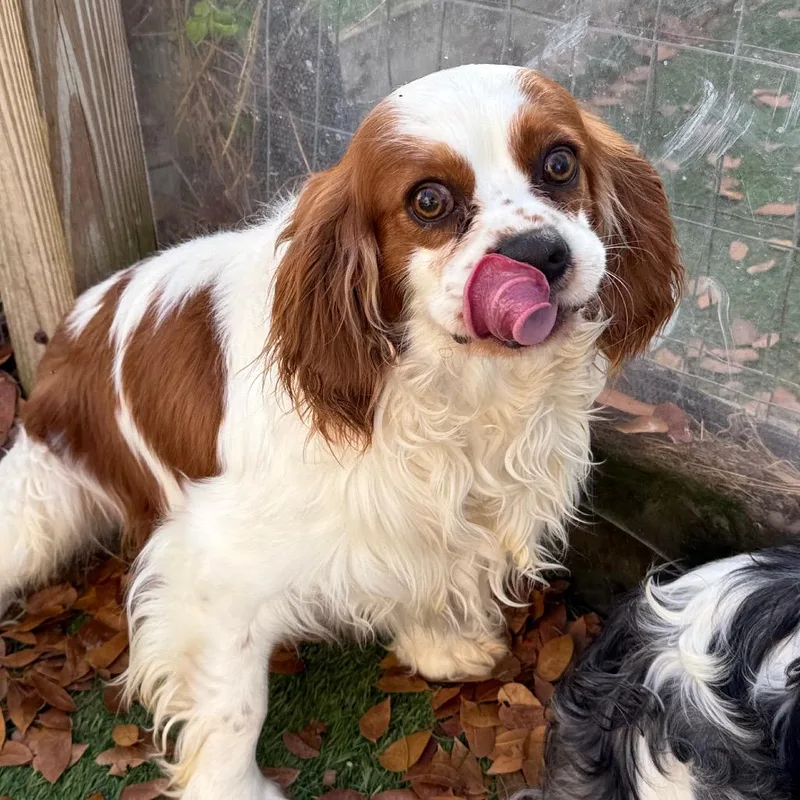 Marchers Jyp thumbnail 3